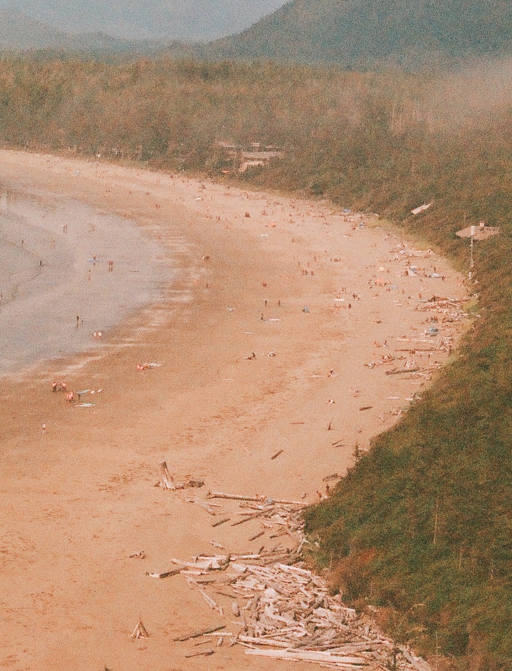 Aerial view of sandy beach, Vancouver Island