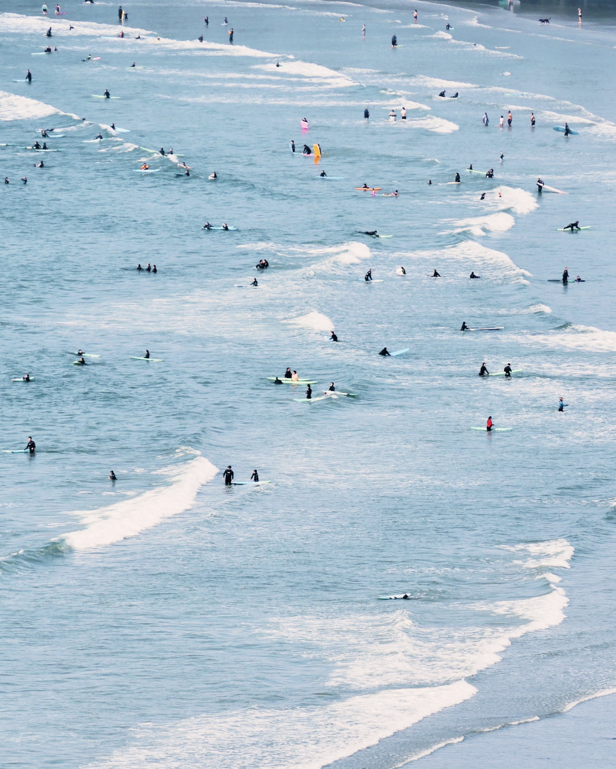 Surfers in the ocean swell